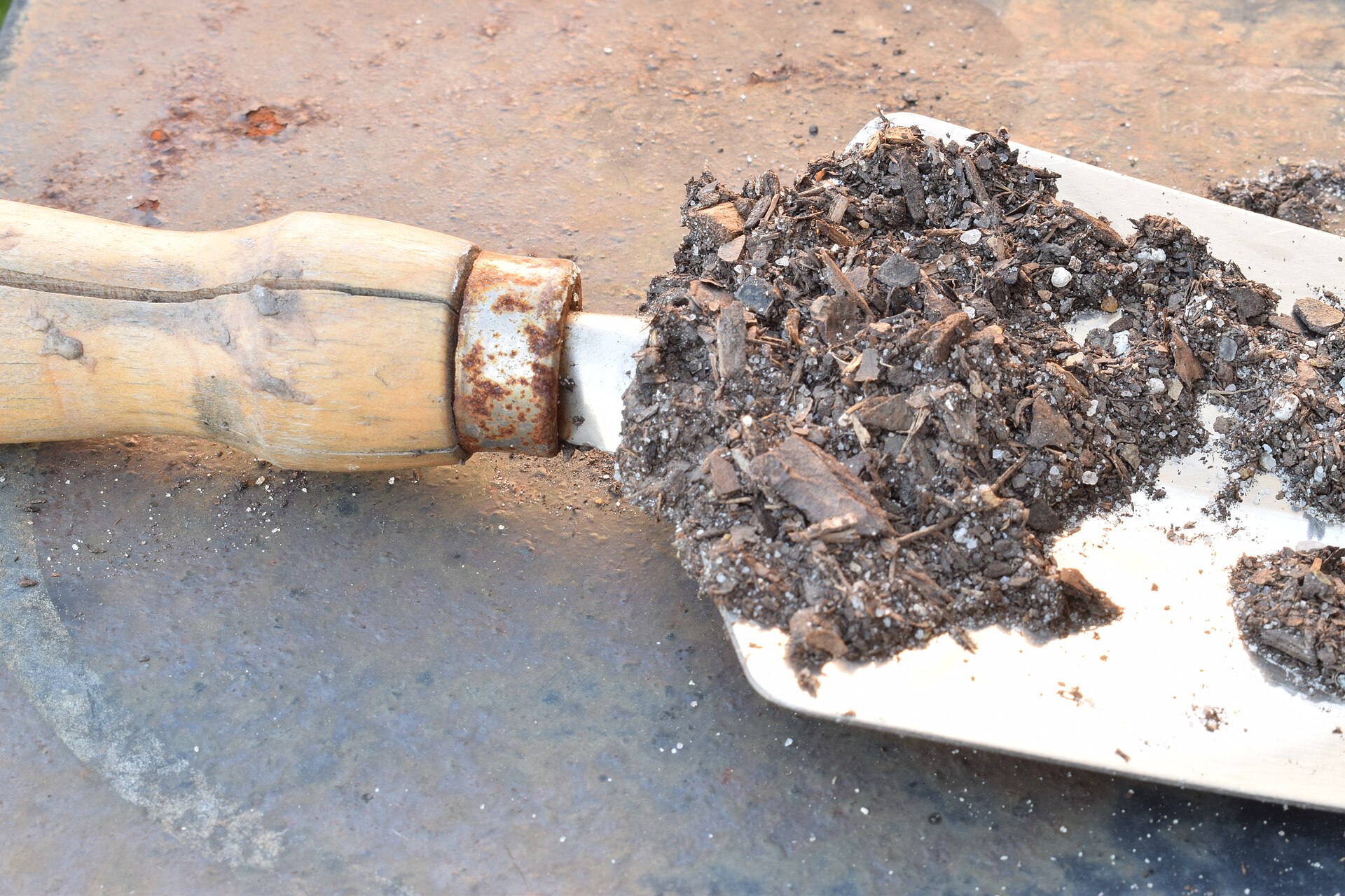 Dirt on garden trowel 1.jpg — illustrating How Should Garden Tools Be Stored Over Winter?
