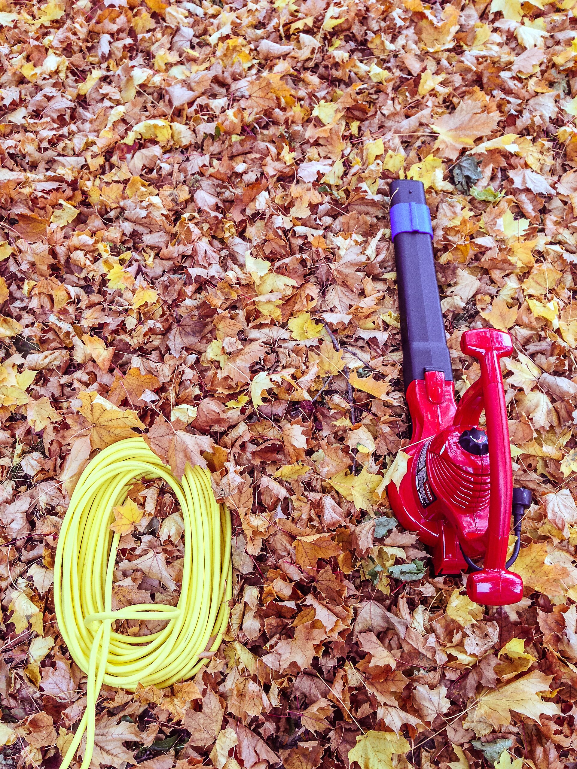 Electric Leaf Blower - Vacuum (23469960661).jpg — illustrating Leaf Blower CFM and MPH: What Do These Ratings Mean?