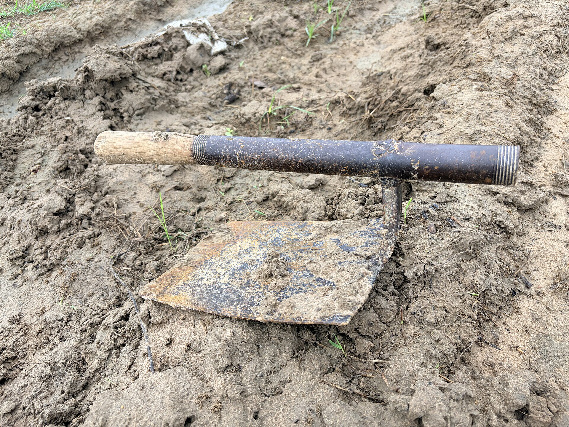 A type of shovel used in agriculture.jpg — illustrating Spade vs Shovel: What's the Actual Difference?
