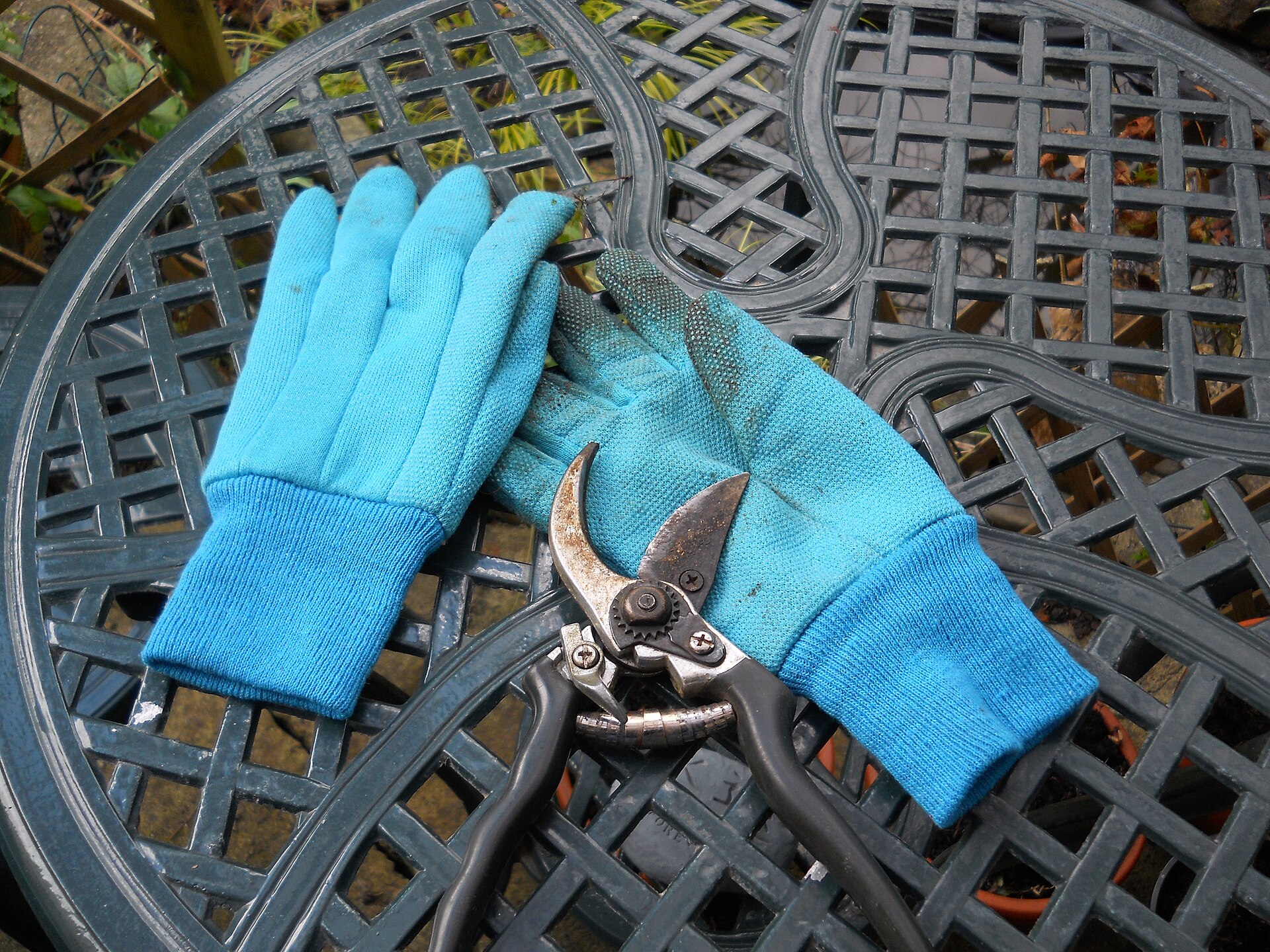 My trusty gardening gloves & secateurs which need a good clean by the look of them (8711272274).jpg — illustrating Bypass vs Anvil Secateurs: What Actually Differs?